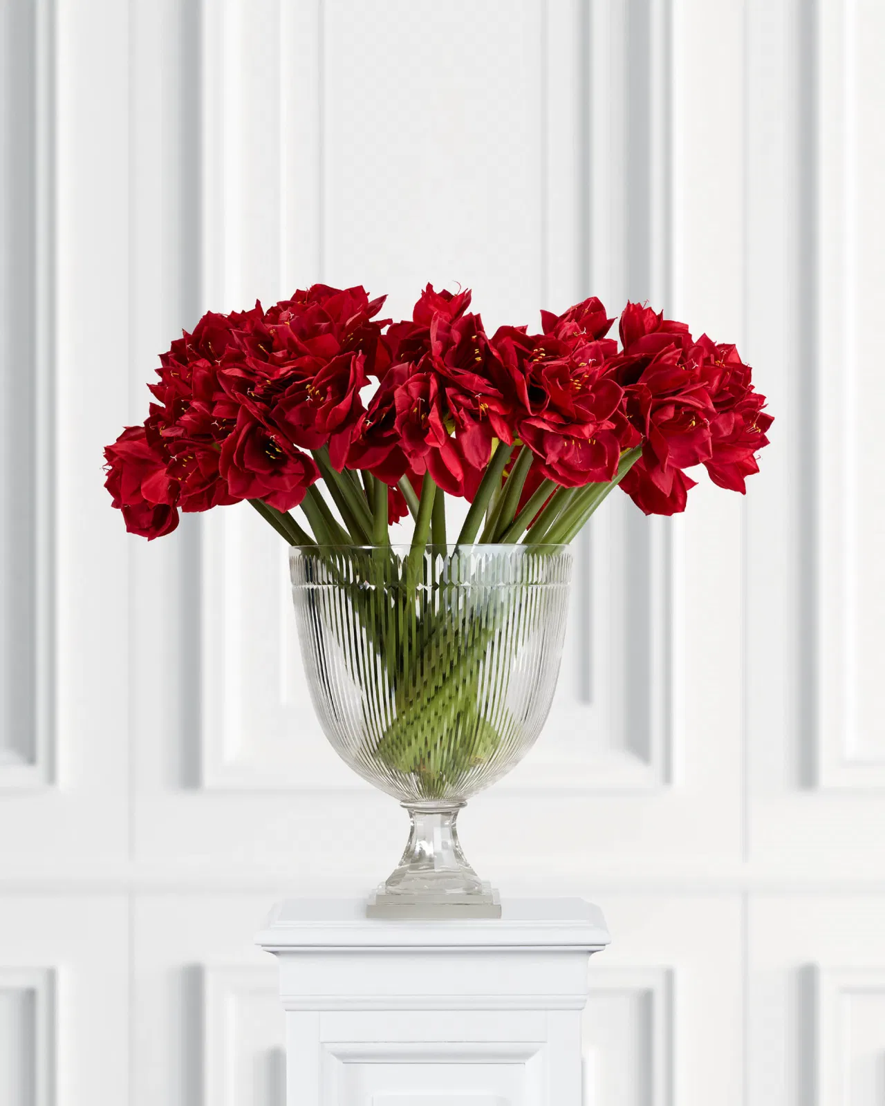 Amaryllis snittblomst rød Newport Julepynt